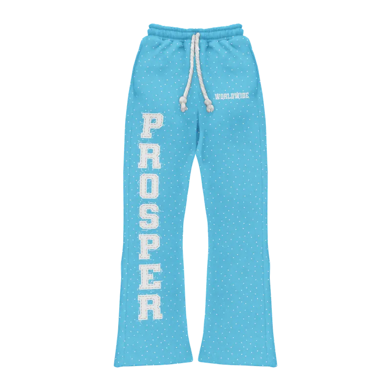 LIGHT BLUE SWEATS